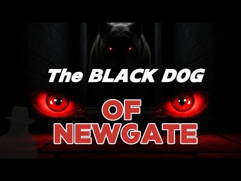 The Black Dog of Newgate Prison – London’s Most Terrifying Curse | A story listen to while sleeping.