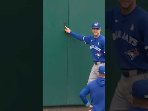 He Ran Into The Wall So Hard He Imprinted His Eye Black 😂