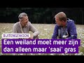 Waarom een saai groen weiland slecht is voor de natuur - BuitenGewoon