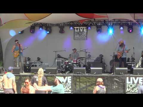 03 Dangermuffin at Disc Jam Music Festival