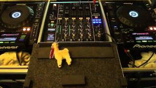 Friday Night's w/ MNemonic & Friends