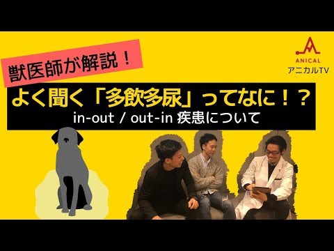 犬の多尿症と多飲症 – 原因と対処法