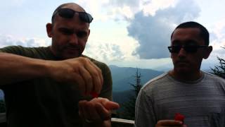 Aleppo, refining fire Chiles