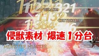 モンハンストーリーズ3 侵獣素材周回 1分台＋効率レベル上げ【高速周回】