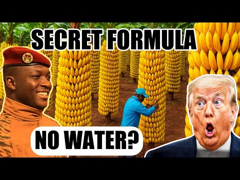 Unbelievable: Traoré Discovers Water-Free Farming — West Strikes Back.
