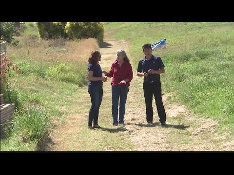 Exploring with Aloha: The Malolo Farm Protea