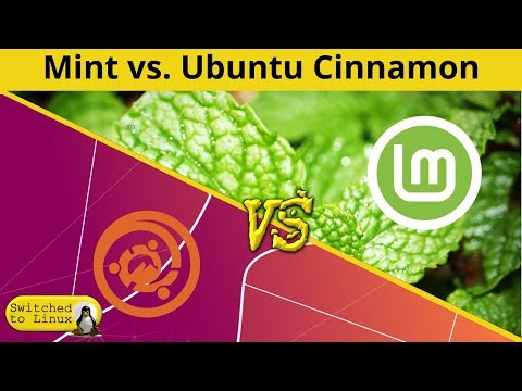 Linux Mint vs Ubuntu Cinnamon | DistroWars!
