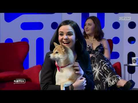 Sibtek - Il-Familja ta’ Alexia Micallef inkluż il-mascot tagħhom Kira ♥️🥰😍