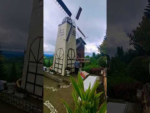 Beautiful Garden #travel #nature #garden #tavelvlog