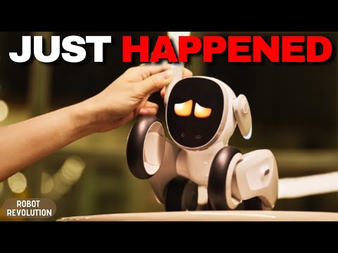 This Is Why Robot Loona Will CHANGE Your Life!