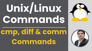 Part 7 - Unix/Linux for Testers | cmp, diff & comm Commands