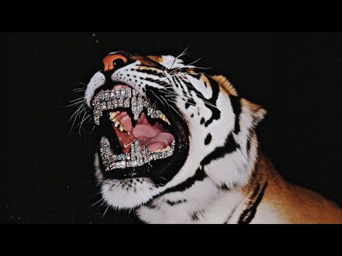 [FREE] Spanish Guitar x Latin Trap Type Beat - Fuego | Crazy Latin Guitar Instrumental 2026