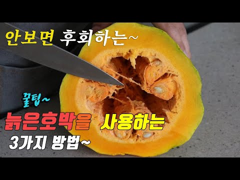 간단하고 맛있는 늙은 호박요리 3가지~ 강쉪^^ korean food recipes 3 kinds old pumpkin cooking recipes 호박조림 호박씨볶는법 호박빵