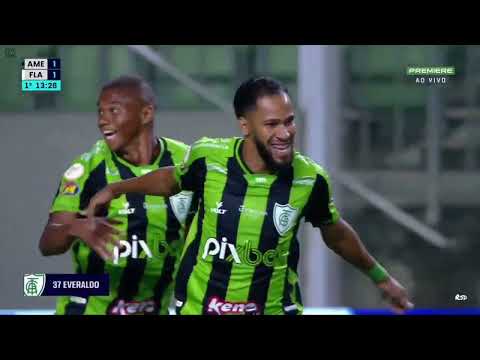 4M3R1C4 MG 1x2 FL4M3NG0 - BR4S1L31R40 2022