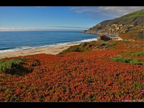 The California Coast"