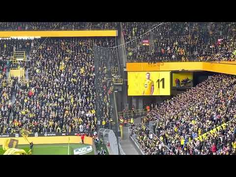 BVB AUFSTELLUNG