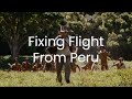 Fixing Flight From Peru | Raiders of the Lost Ark
