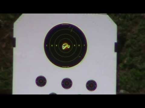 FX Royale 500 cal. 25 at 55 yards