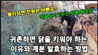 귀촌하면 닭을 키워야 하는 이유와 계분 발효 하는법! #천연거름만들기 #귀촌귀농 #계분거름