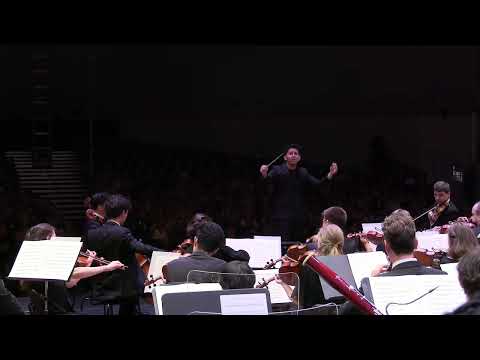 Beethoven Symphony No. 3 | IV. Finale: Allegro molto Thumbnail
