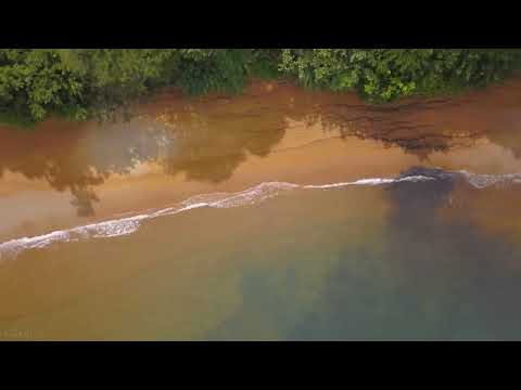 5K Madagascar Wildlife   Incredible Nature and Wildlife of Madagascar   4 HOURS