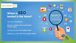 Pick Search Engine Optimization Company by PNJ Sharptech