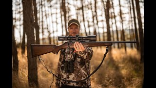 Video: CZ 600 American .300 Win Mag 24 tum