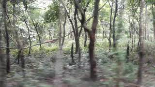 preview picture of video 'Siliguri journey time.....Bengal safari(3)'