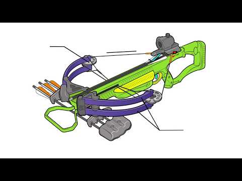 Crossbow 101 - Modern Hunting Crossbows