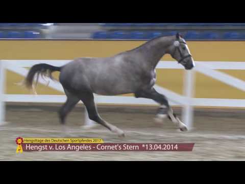 KN 72 v. Los Angeles - Cornets Stern