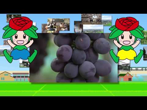 伊奈町イメージアップ動画　ダイジェスト版　韓国語　MP4