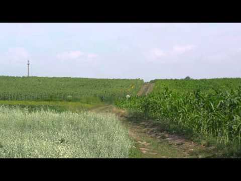 Așezare „La Dejugătoare” comuna Dragomirești