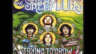 It's Alright - The Sheepdogs