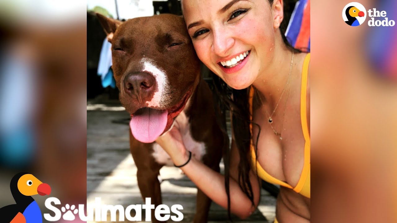 YouTube video preview