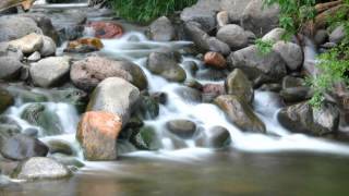Elvis Presley   I Washed My Hands In Muddy Water