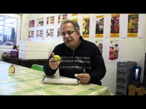 Wie schmeckt eine Schweizer Hose (die Birne ;-)