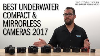 The Best Underwater Compact and Mirrorless Cameras of 2017