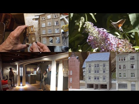 Auwiesen bunt - Sonne Natur und Modell ...