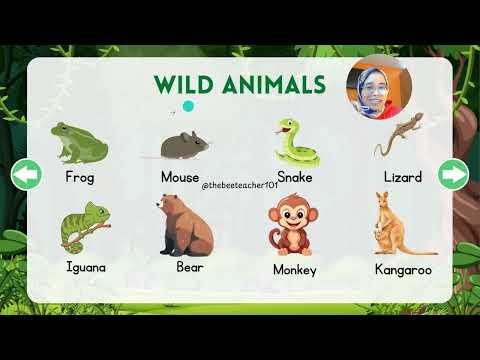 Wild Animals part.3 with @Thebeeteacher101  /أسماء الحيوانات باللغة الإنجليزية