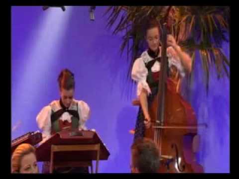 die vielsaitigen oberlavierenbach landler.mp4