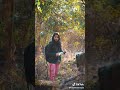 Jangle Me Mangal