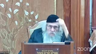 הגה"ח הרב וועכטר שליט"א ט"ז חשון תשפ"ד - תניא פרק ל"ג חלק ב (הרב אברהם מנחם מענדל וכטר) - התמונה מוצגת ישירות מתוך אתר האינטרנט יוטיוב. זכויות היוצרים בתמונה שייכות ליוצרה. קישור קרדיט למקור התוכן נמצא בתוך דף הסרטון