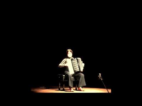 Bossa Nova | V.Vlasov accordion solo