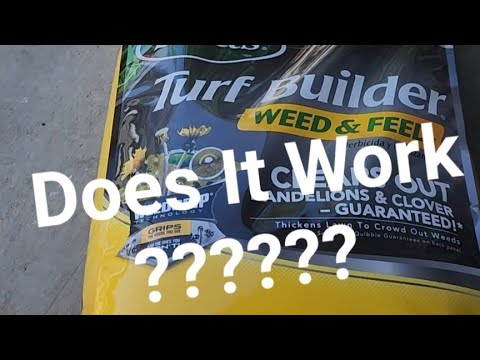 Scotts Weed & Feed - DIY Lawn Guy