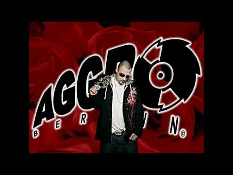 Sido,TonyD,Kitty cat feat. Scooter-Beweg dein Arsch