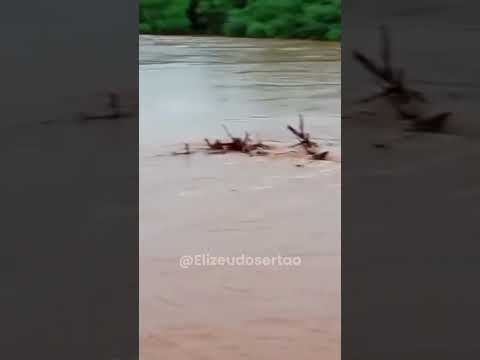 Chuvas no Nordeste: Chuva de 140 milímetros, riachão município de Acauã Piauí,