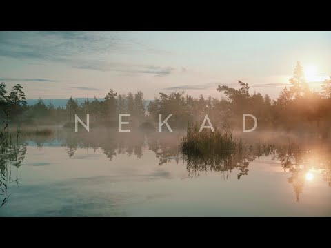 Neon Saturdays - Nekad Nekad (Official Music Video)