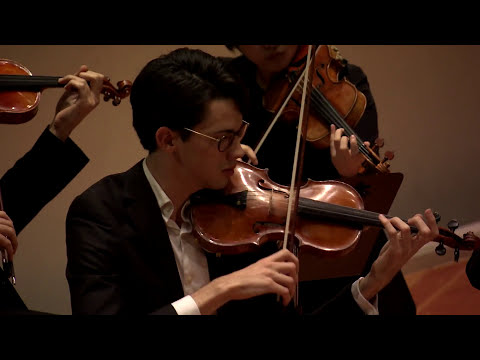 Telemann: Concerto C-Dur 52: C1 / Reinhard Goebel · Karajan-Akademie der Berliner Philharmoniker