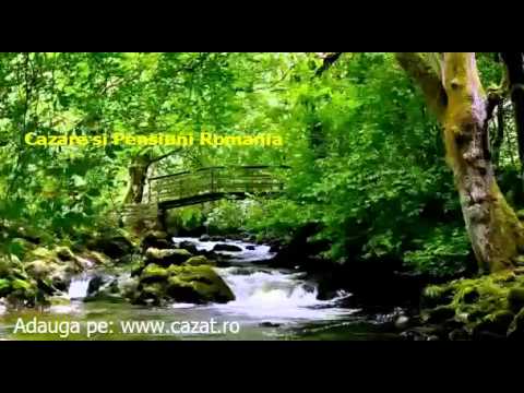 Cazare Valenii, Mures - Cazat.ro