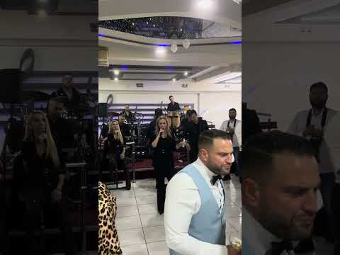 Milos Stojkovic Gold Orchestra i Jelena Gerbec - Ne zivim sama (uzivo)